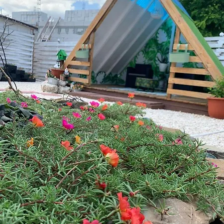 Casa Curcubeu بيت ضيافة كوربو